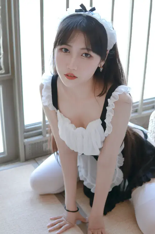 不呆猫 – 小女仆